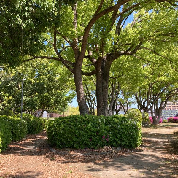 王子公園 - おすすめ画像