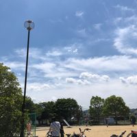槇島公園 - 投稿画像1