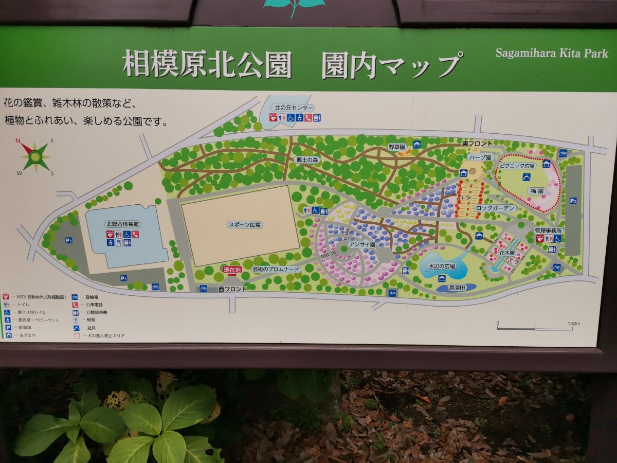 相模原 北 公園 スポーツ 広場