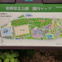 相模原北公園スポーツ広場 - 投稿画像0