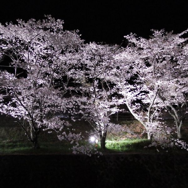 Yamanakadani-eki (JR) - おすすめ画像