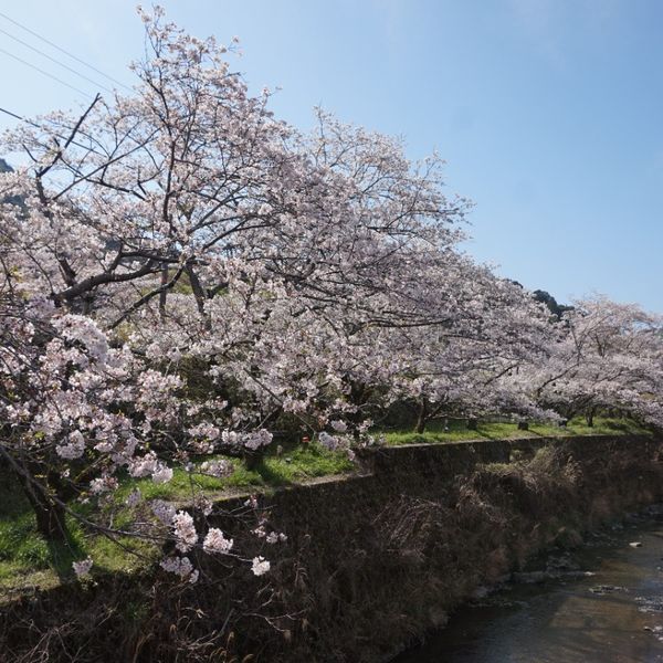 山中渓駅(JR) - おすすめ画像