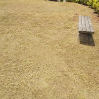 南井町公園　パティオフェリス - 投稿画像2