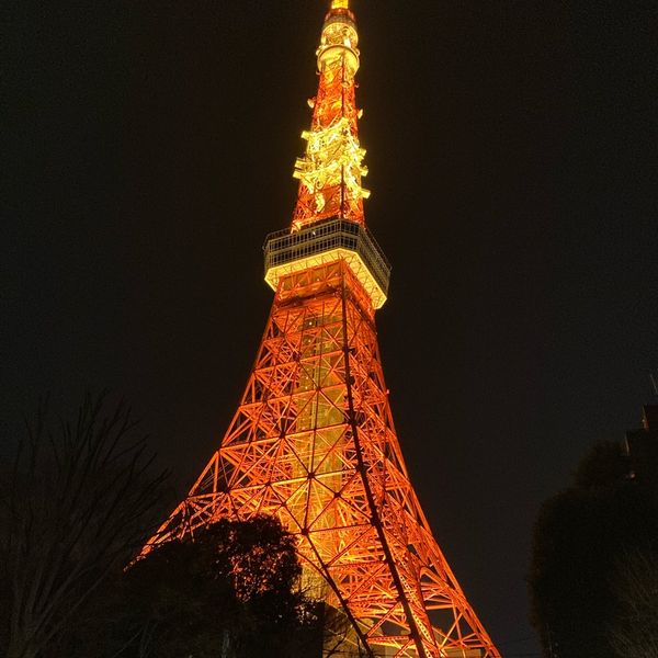 Tokyo Tower - おすすめ画像