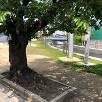 今堀第1幼児公園 - 投稿画像0