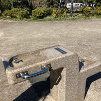 長門はなの木児童遊園 - 投稿画像0