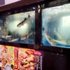 魚王KUNI(うおくに) 川崎店 - トップ画像