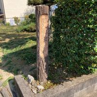 矢田山第2号児童公園 - 投稿画像1
