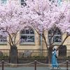 旧京都市立成徳中学校 - トップ画像