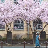 旧京都市立成徳中学校 - 投稿画像0