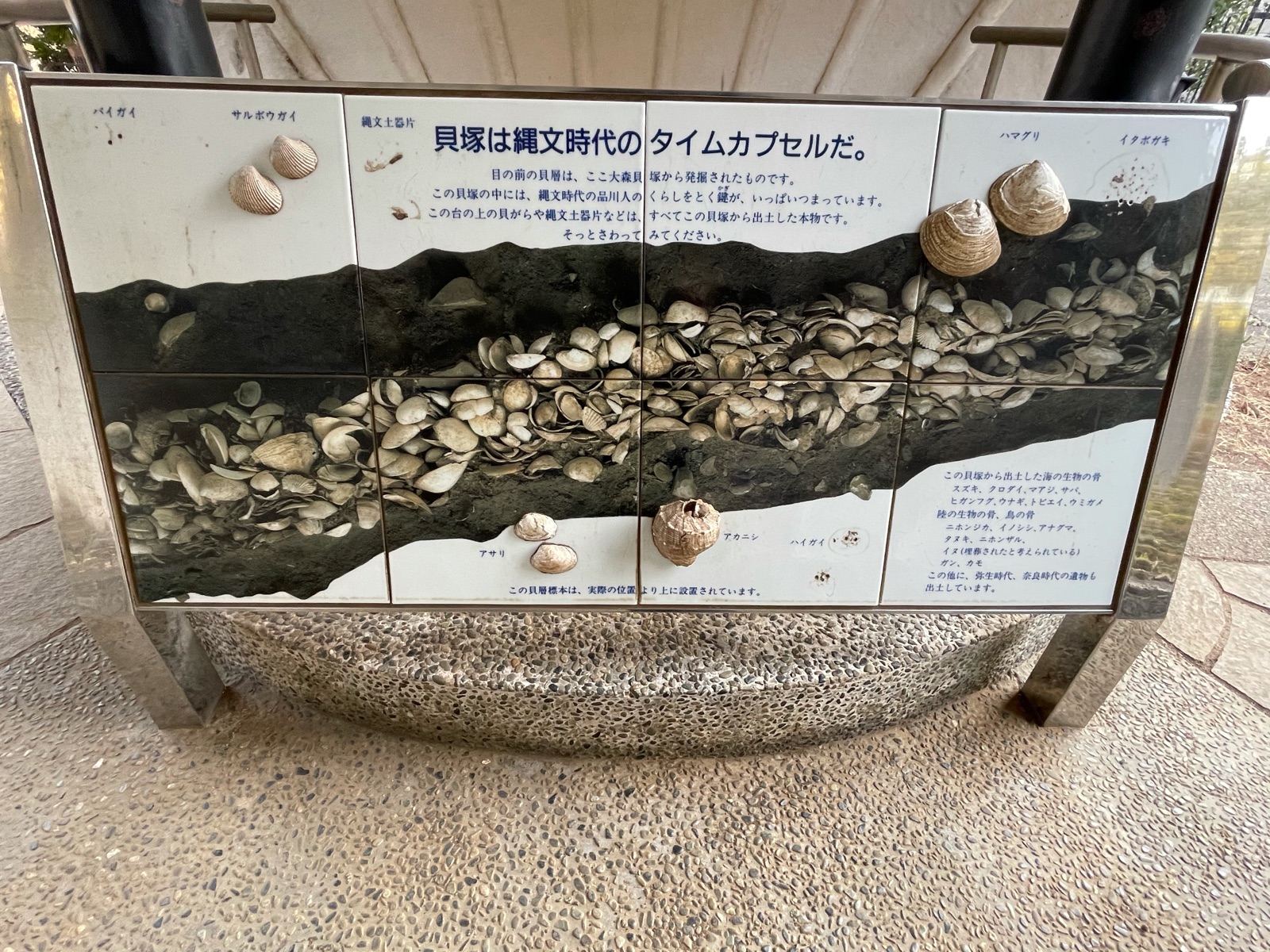 A015b000006-300x204.jpg