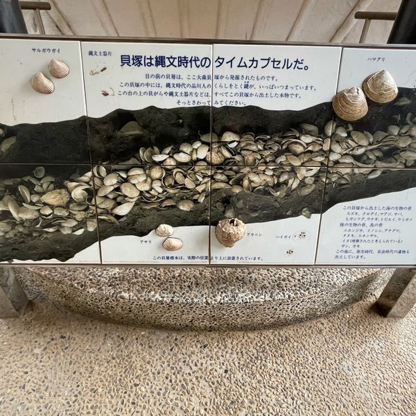 大森貝塚遺跡公園 - おすすめ画像