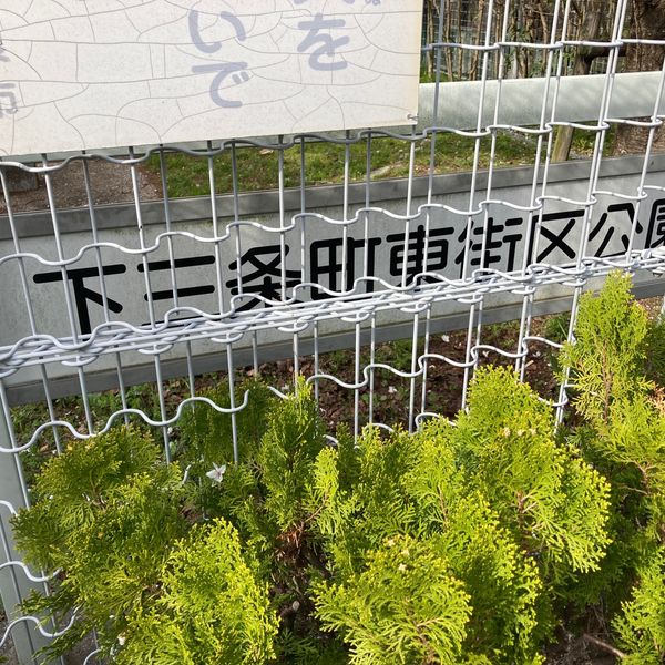 下三条町東街区公園 - おすすめ画像