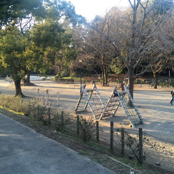 戸山公園 アスレチック広場 - トップ画像