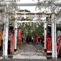 高松神明神社（タカマツシンメイジンジャ） - 投稿画像1