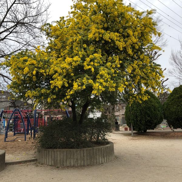 北三谷公園 - トップ画像