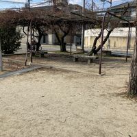 住吉公園 - 投稿画像2
