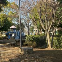 亀井下公園 - 投稿画像2