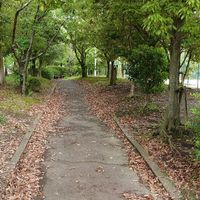 登美ヶ丘近隣公園 - 投稿画像2