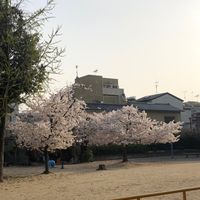 小坂 - 投稿画像1