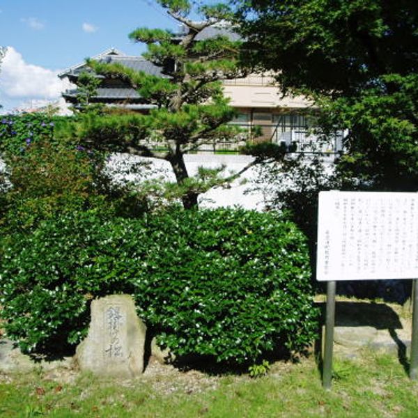 血の池公園 - おすすめ画像