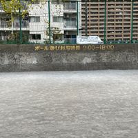 ボール遊び場（横十間川親水公園内） - 投稿画像1