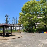 しいのき公園 - 投稿画像1