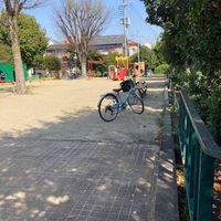 若竹西公園 - 投稿画像1