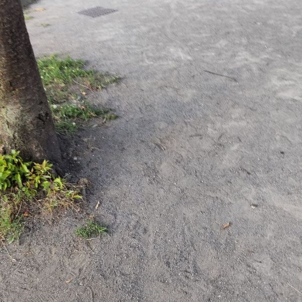 中央本町ちびっこ公園 - トップ画像