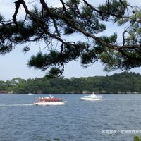 Matsushima (Matsushima-jima-meguri kankō-sen) - 投稿画像3