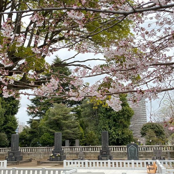 渋沢栄一の墓 - おすすめ画像