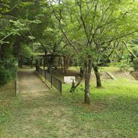 神宮外苑公園 - 投稿画像2