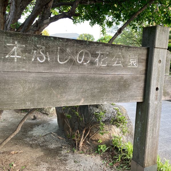 松本ふじの花公園 - トップ画像