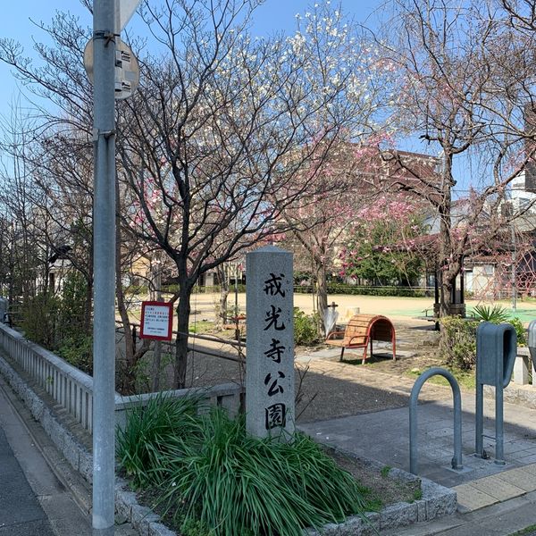 戒光寺 - おすすめ画像