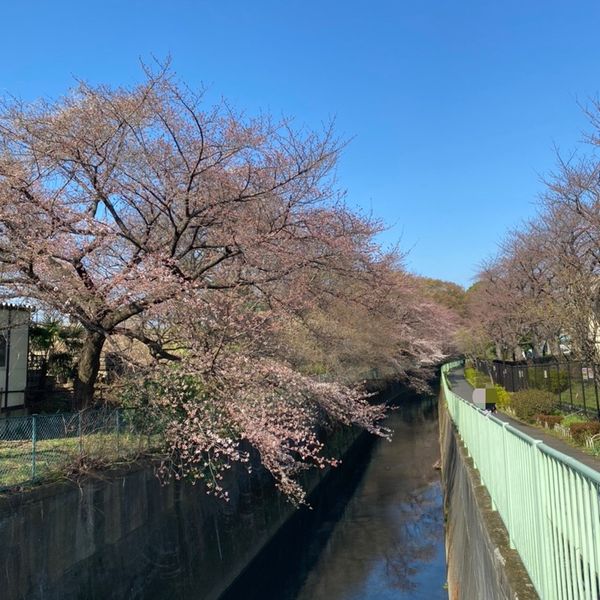 富士見ヶ丘検車区 - トップ画像