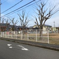 大内野公園 - 投稿画像0