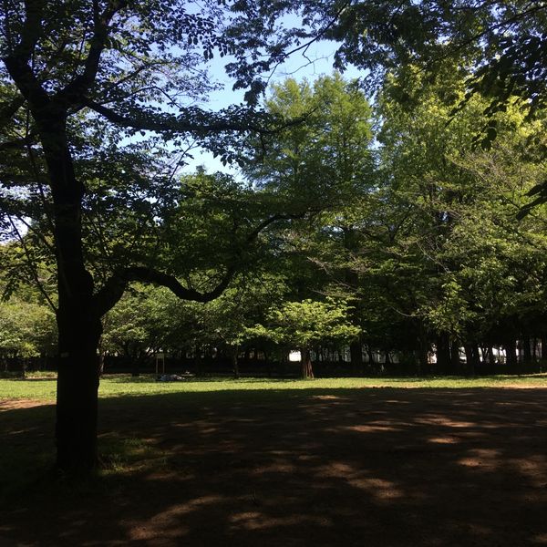 春の風公園 - おすすめ画像