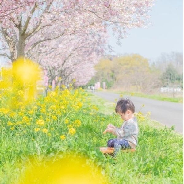 思川流域堤防（小宅桜づつみ） - おすすめ画像