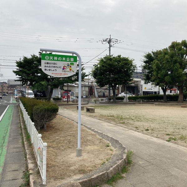 天神の木公園 - トップ画像