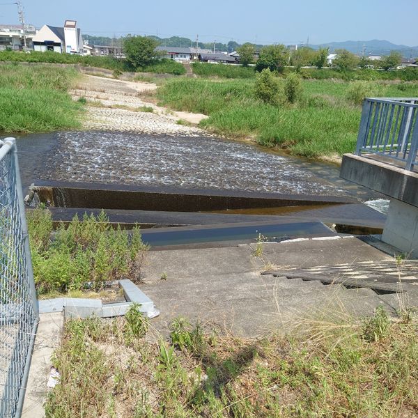 【松並木１】道路沿いにある川 - おすすめ画像