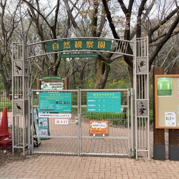 野川公園 自然観察園 - トップ画像