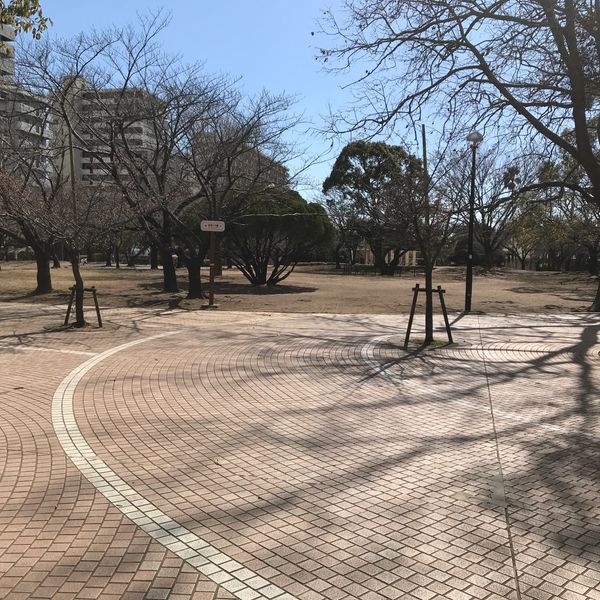 谷津公園 - トップ画像