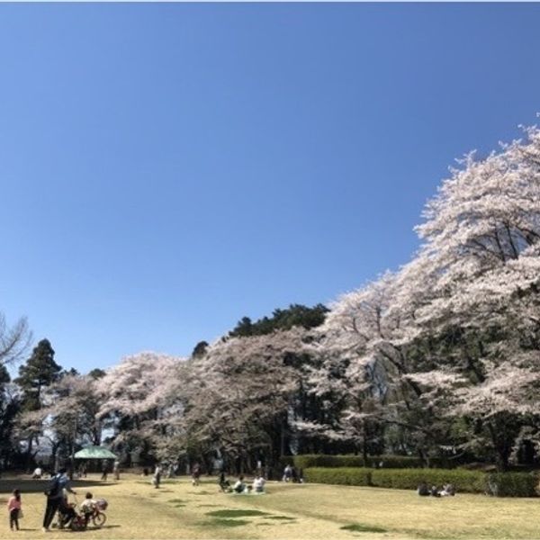 Shiroyama Koen - おすすめ画像