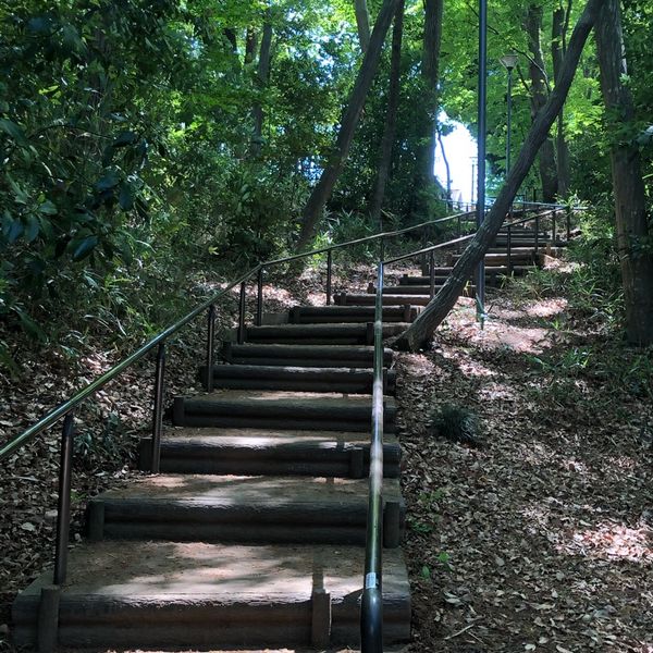 鎌倉公園 - トップ画像
