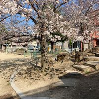 下原公園 - 投稿画像2