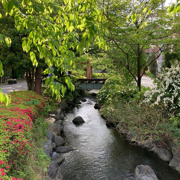 一之江境川親水公園 - おすすめ画像