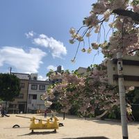 鹿垣 - 投稿画像0