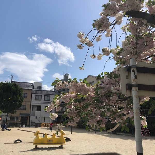鹿垣 - おすすめ画像