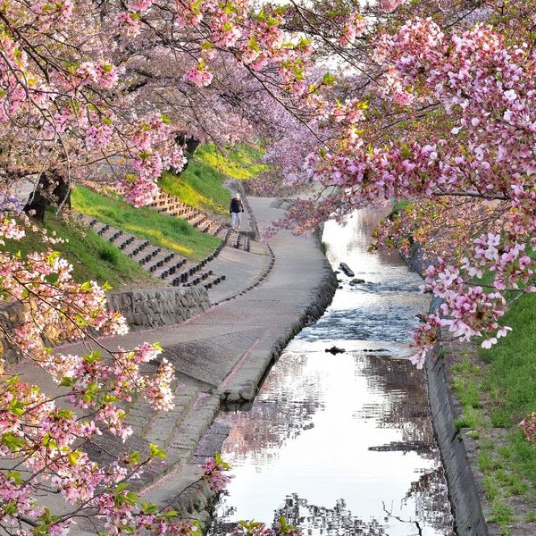 今池水みらい緑地 虹の広場 - トップ画像