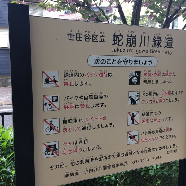 蛇崩川緑道 - トップ画像